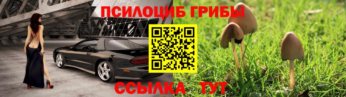 где найти   Галлюциногенные грибы Psilocybine cubensis  Вход с VPN  Домодедово 